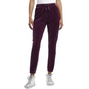 Splendid Purple Velour Jogger Cinched Ankle Pants